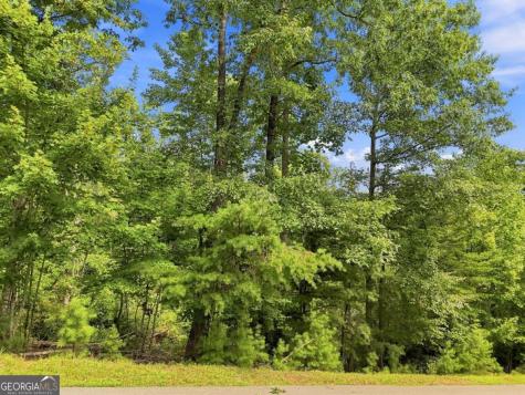 0 Deer Crest Road Blue Ridge GA 30513