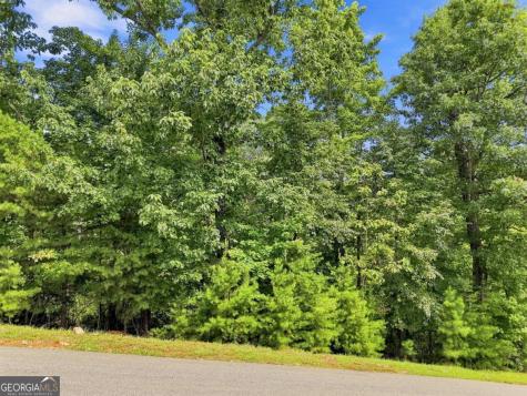 0 Deer Crest Road Blue Ridge GA 30513
