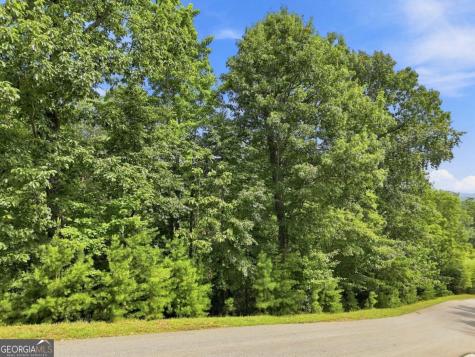0 Deer Crest Road Blue Ridge GA 30513