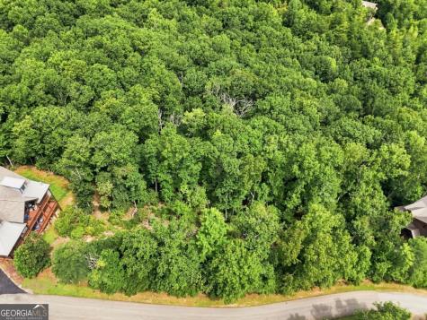 0 Deer Crest Road Blue Ridge GA 30513