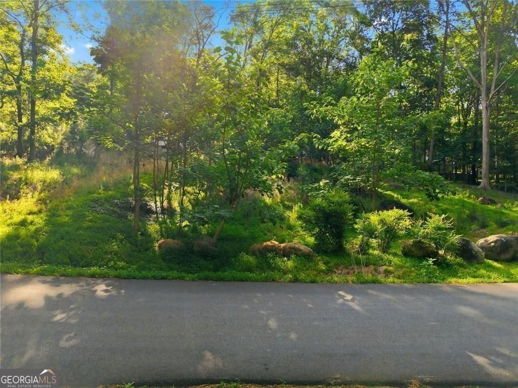 33 Yellow Hammer Drive SE White GA 30184