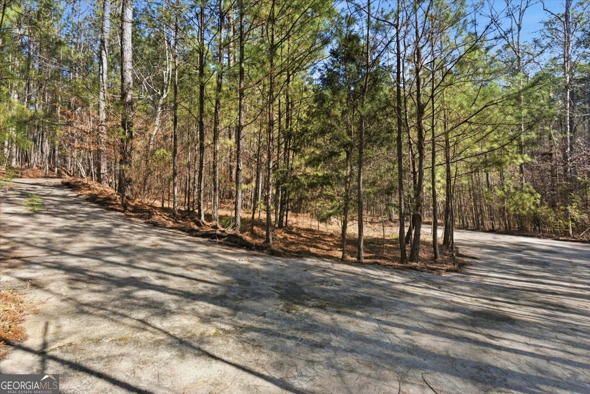 215 Picketts Way Acworth GA 30101