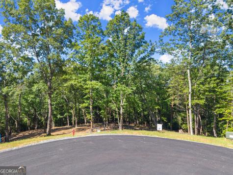 228 Chimney Oaks Trail Cleveland GA 30528