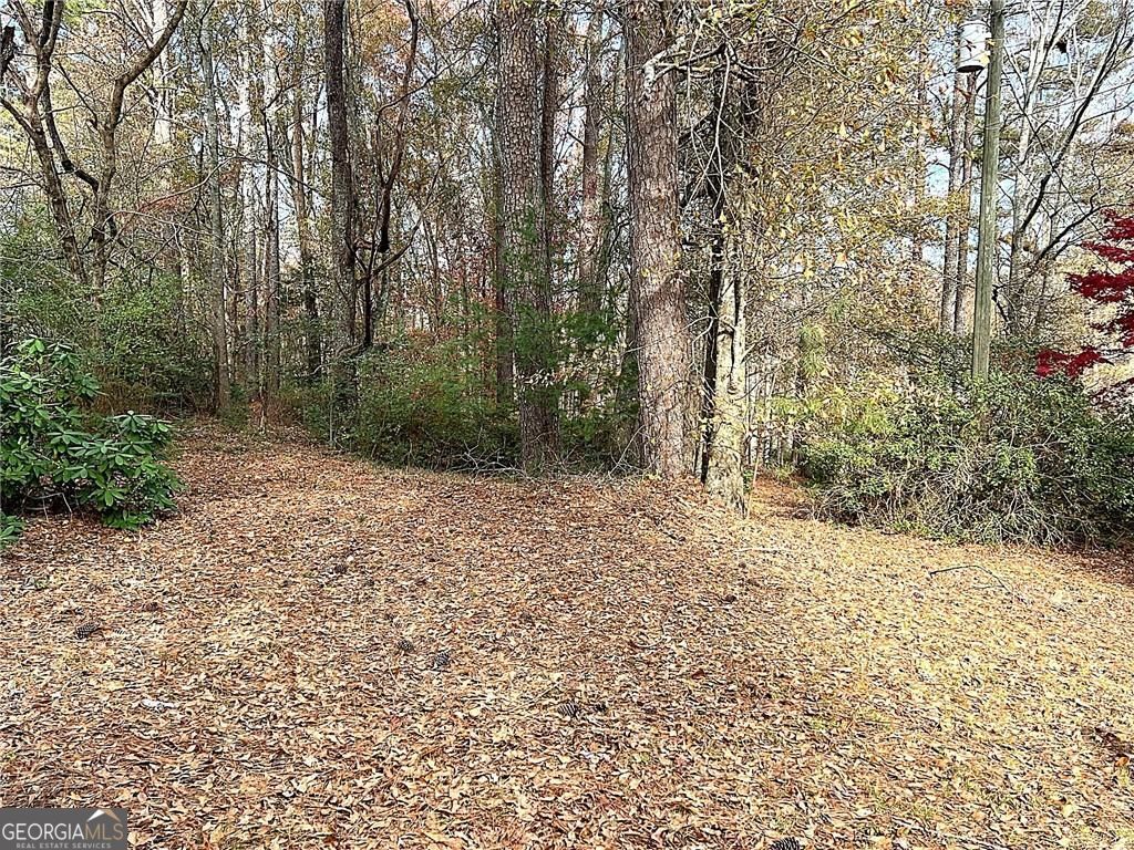 667 B Avery Road Canton GA 30115