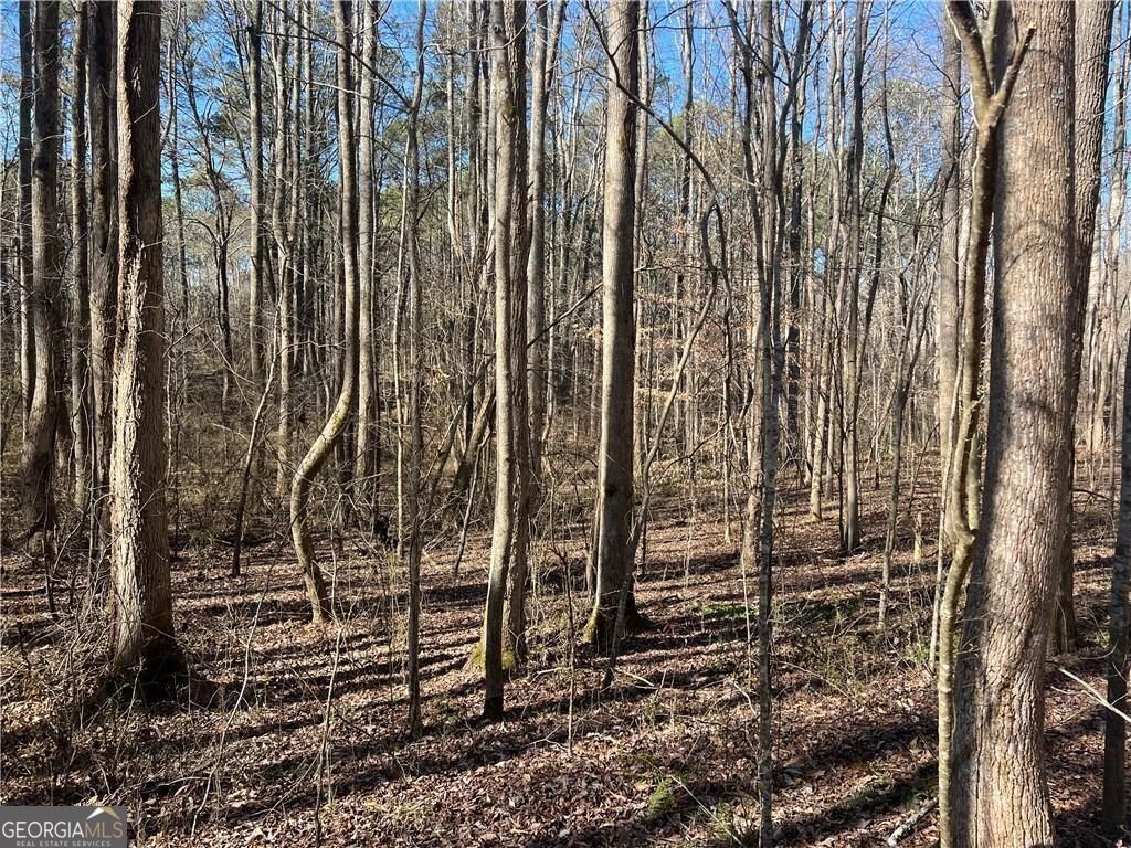 667 B Avery Road Canton GA 30115