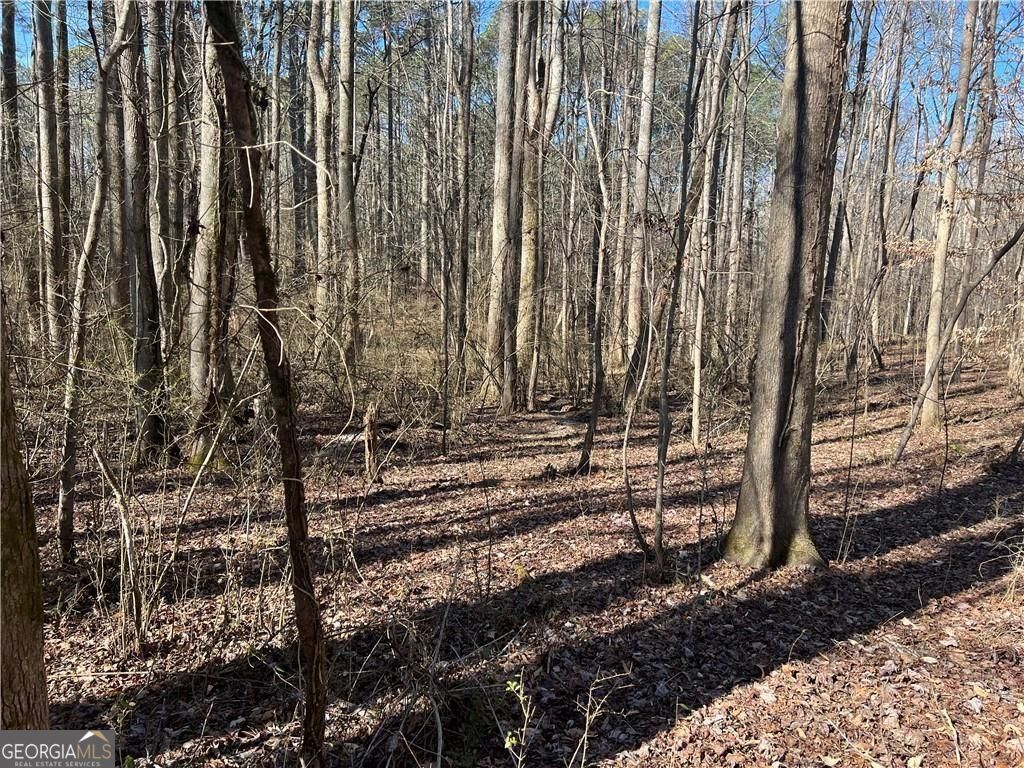 667 B Avery Road Canton GA 30115