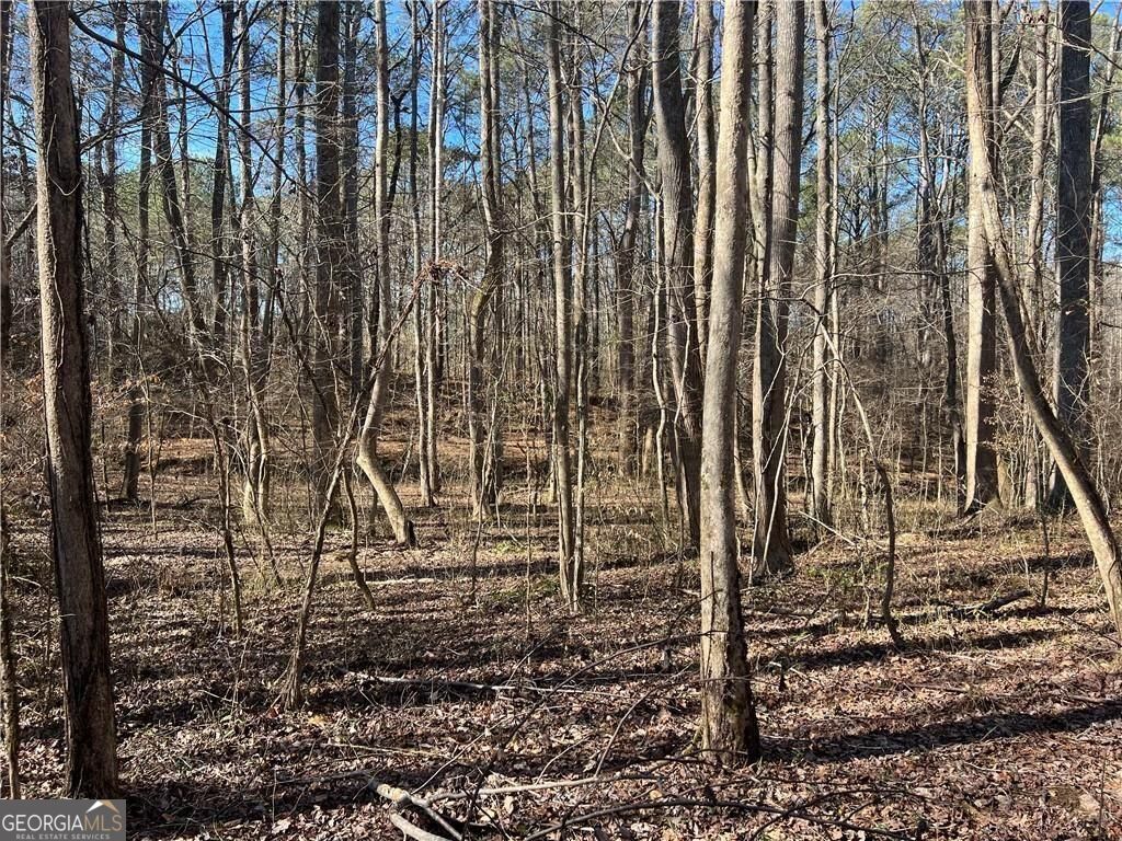 667 B Avery Road Canton GA 30115