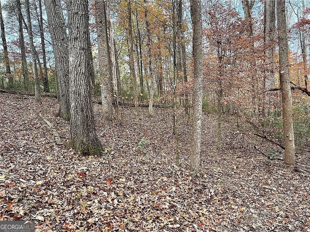 667 B Avery Road Canton GA 30115