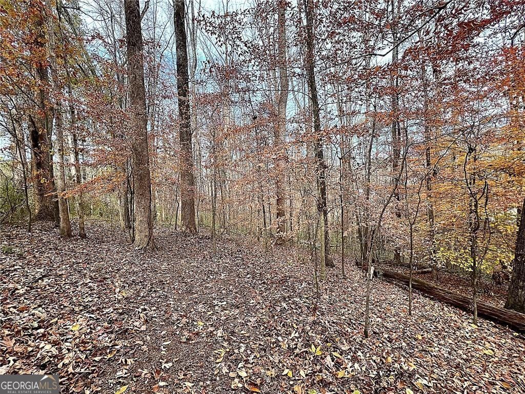 667 B Avery Road Canton GA 30115