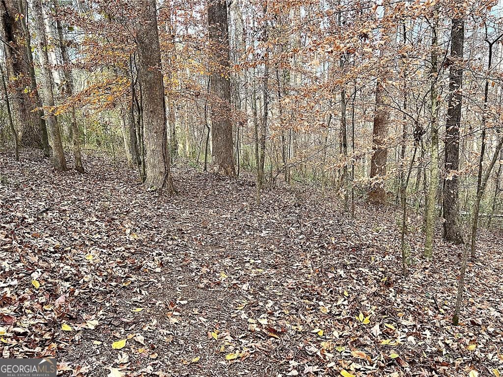 667 B Avery Road Canton GA 30115