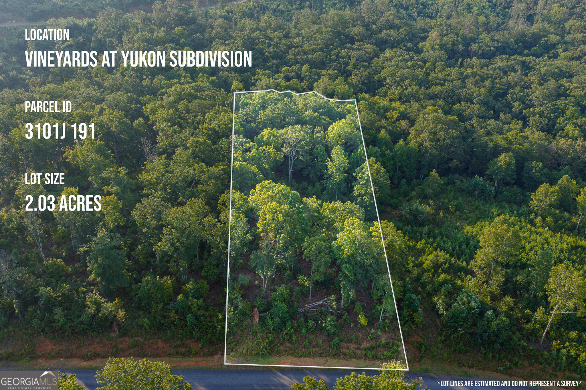 Lot 191 Oak Park Drive Talking Rock GA 30175