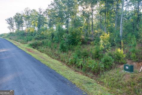 Lot 191 Oak Park Drive Talking Rock GA 30175