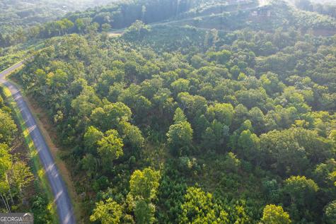 Lot 191 Oak Park Drive Talking Rock GA 30175