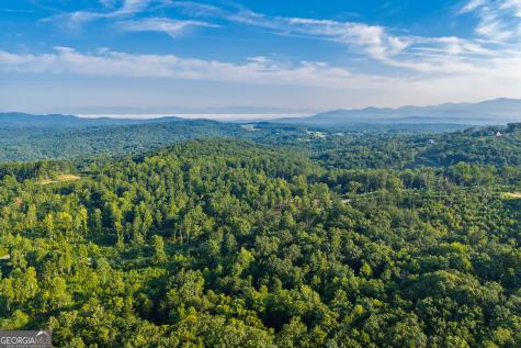 Lot 191 Oak Park Drive Talking Rock GA 30175