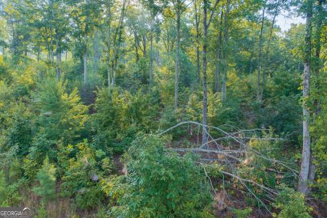 Lot 191 Oak Park Drive Talking Rock GA 30175
