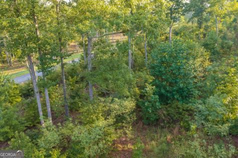 Lot 191 Oak Park Drive Talking Rock GA 30175