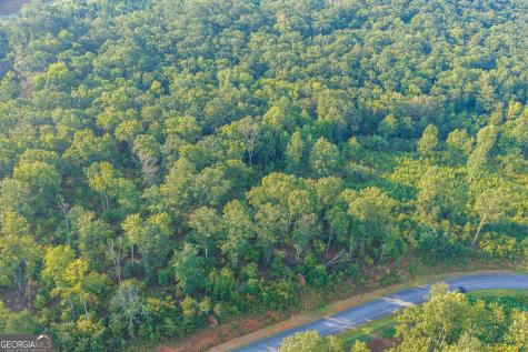 Lot 191 Oak Park Drive Talking Rock GA 30175