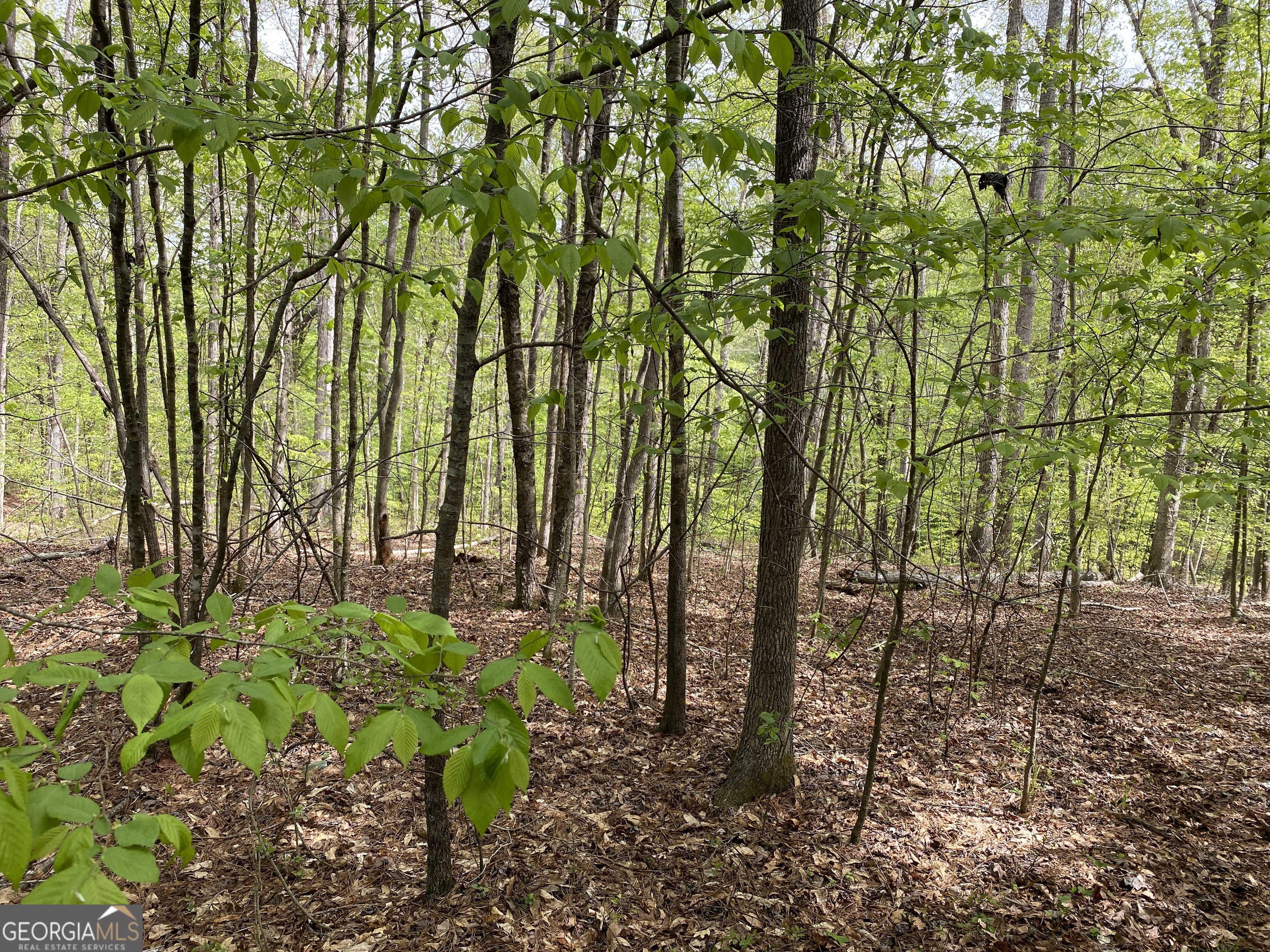 2A Curry Falls Trail Athens GA 30607
