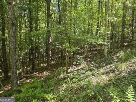 34.98 Hall Road Turtletown TN 37391