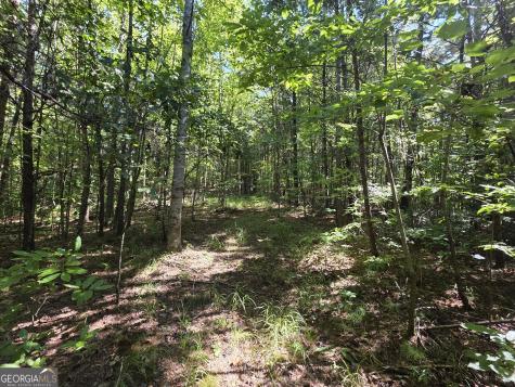 34.98 Hall Road Turtletown TN 37391