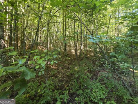 34.98 Hall Road Turtletown TN 37391