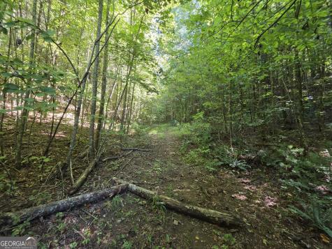 34.98 Hall Road Turtletown TN 37391