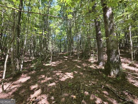 34.98 Hall Road Turtletown TN 37391