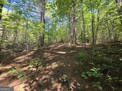 34.98 Hall Road Turtletown TN 37391