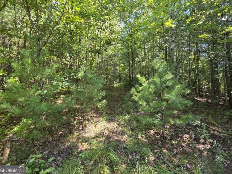 34.98 Hall Road Turtletown TN 37391