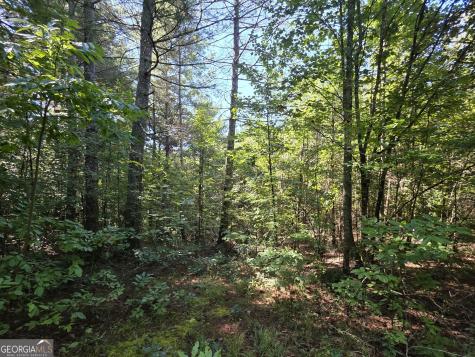 34.98 Hall Road Turtletown TN 37391