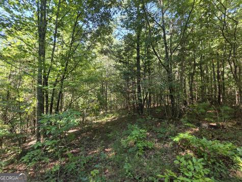 34.98 Hall Road Turtletown TN 37391