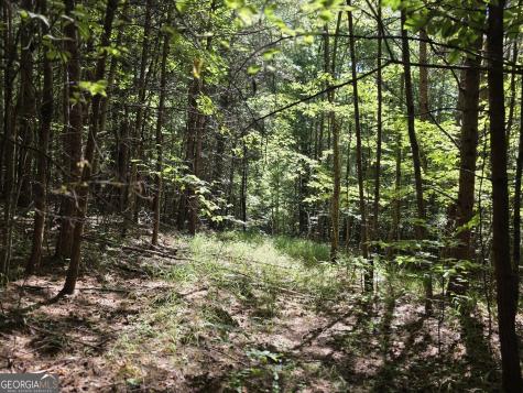 34.98 Hall Road Turtletown TN 37391