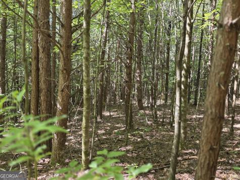 34.98 Hall Road Turtletown TN 37391