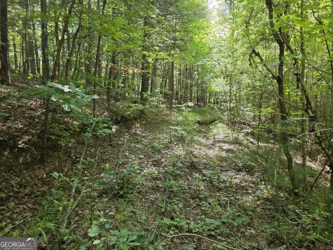 34.98 Hall Road Turtletown TN 37391