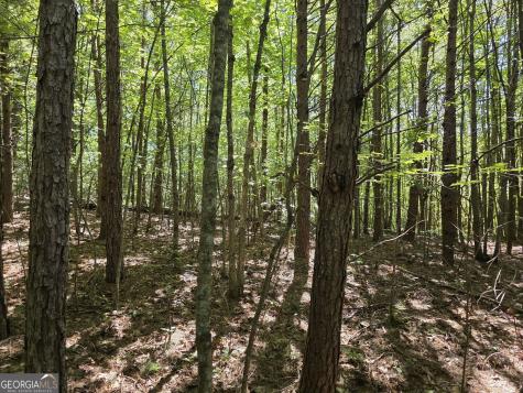 34.98 Hall Road Turtletown TN 37391