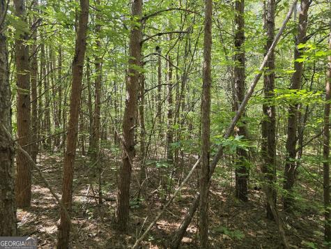 34.98 Hall Road Turtletown TN 37391