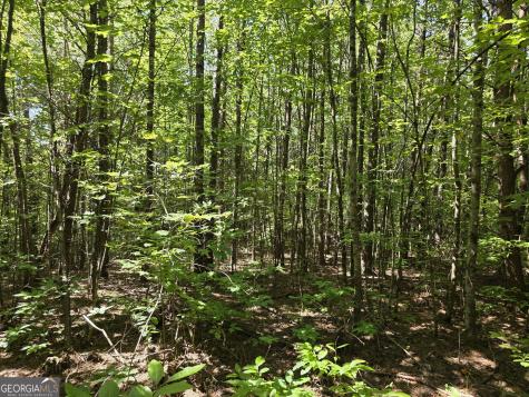 34.98 Hall Road Turtletown TN 37391