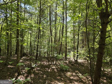34.98 Hall Road Turtletown TN 37391