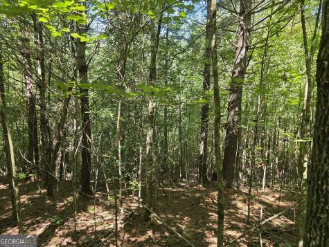 34.98 Hall Road Turtletown TN 37391