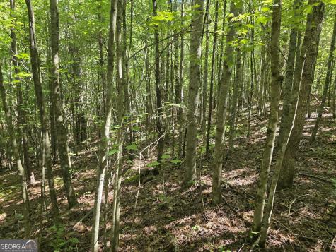 34.98 Hall Road Turtletown TN 37391
