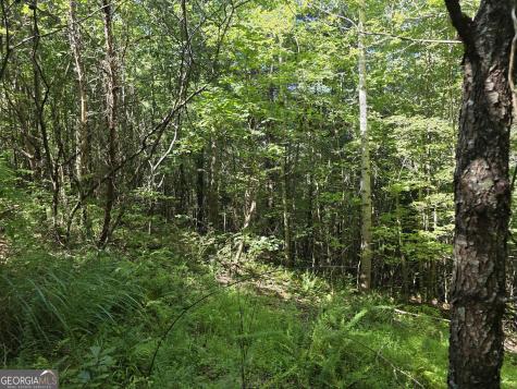 34.98 Hall Road Turtletown TN 37391