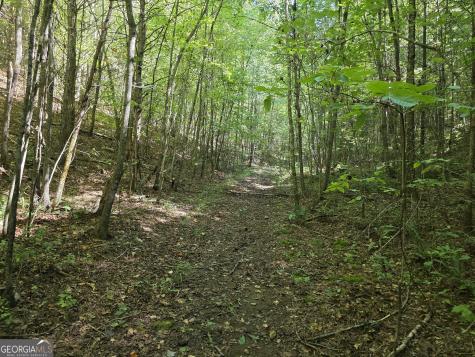 34.98 Hall Road Turtletown TN 37391