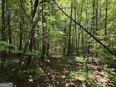 34.98 Hall Road Turtletown TN 37391