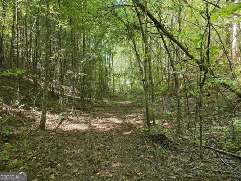 34.98 Hall Road Turtletown TN 37391
