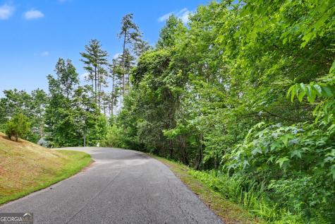 56 Walker Ridge Way Mineral Bluff GA 30559