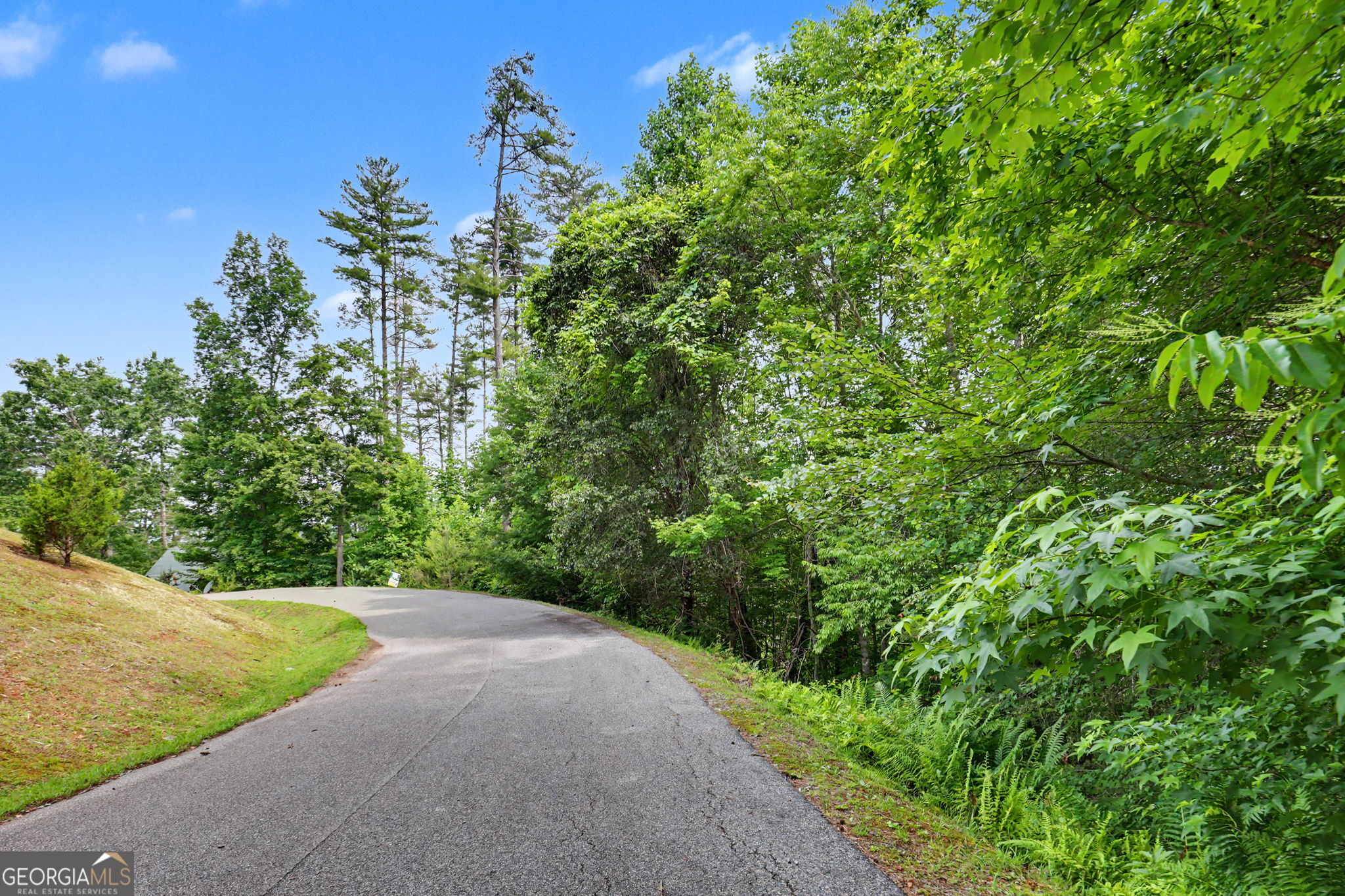 56 Walker Ridge Way Mineral Bluff GA 30559