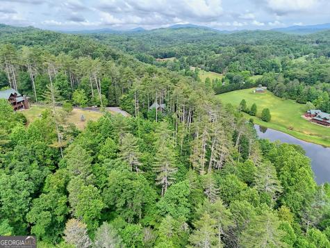 56 Walker Ridge Way Mineral Bluff GA 30559