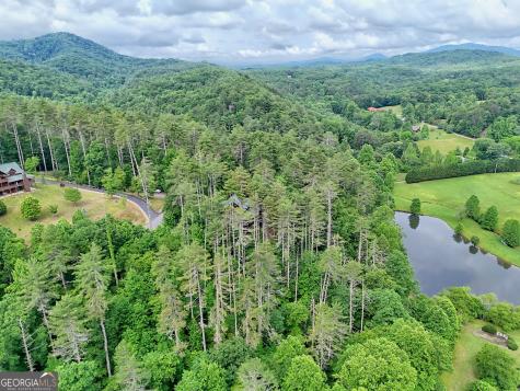 56 Walker Ridge Way Mineral Bluff GA 30559
