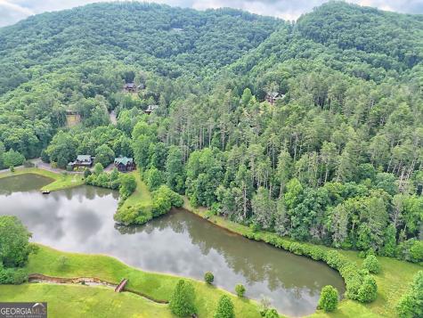 56 Walker Ridge Way Mineral Bluff GA 30559