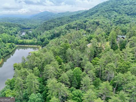 56 Walker Ridge Way Mineral Bluff GA 30559